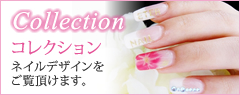 コレクション